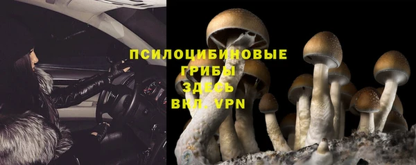 первитин Алексеевка