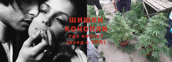 ГАЛЛЮЦИНОГЕННЫЕ ГРИБЫ Абдулино