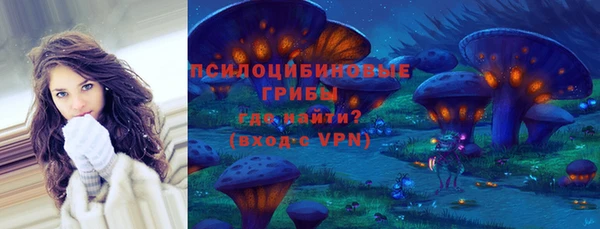 ПСИЛОЦИБИНОВЫЕ ГРИБЫ Алзамай